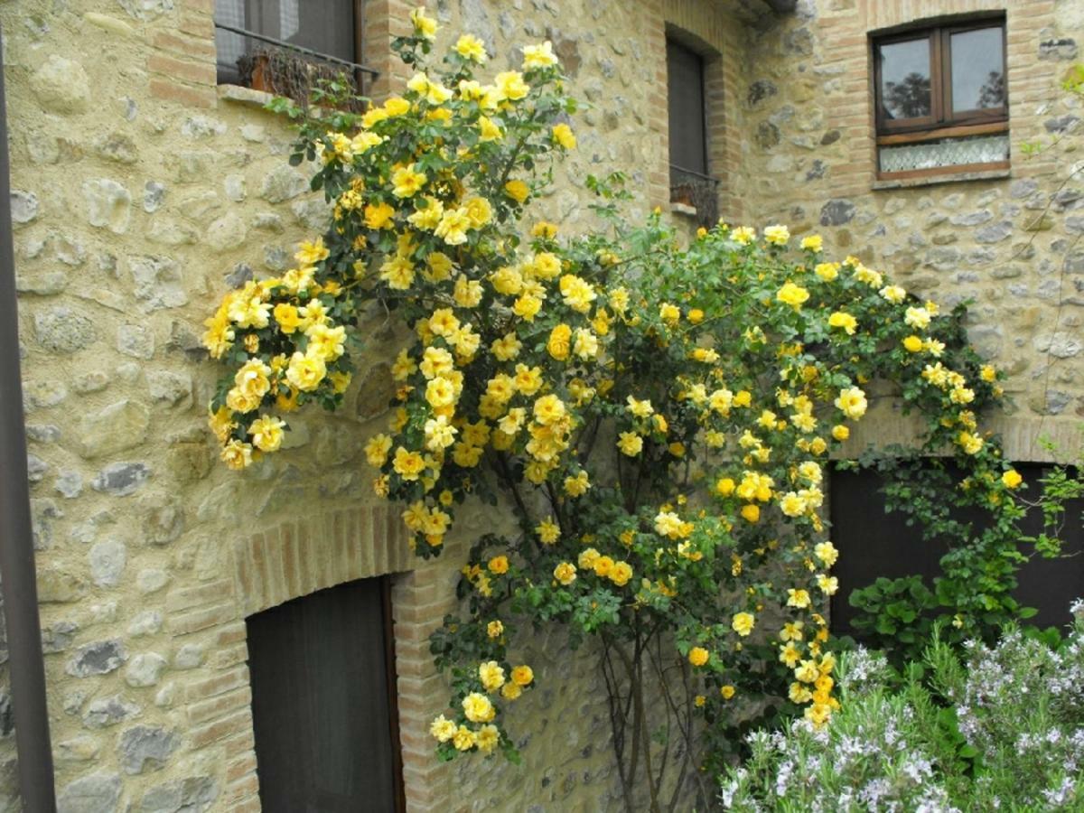 Agriturismo Frallarenza Ficulle Exterior foto
