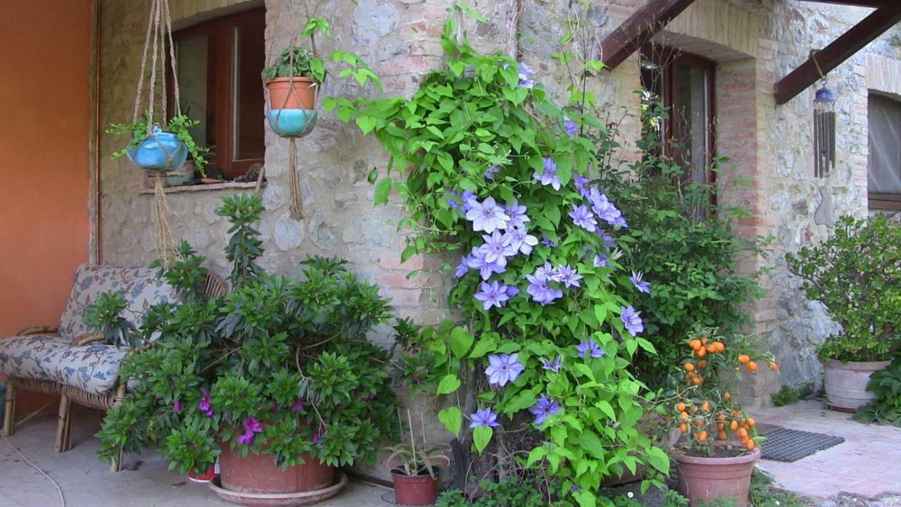Agriturismo Frallarenza Ficulle Exterior foto